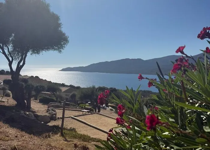 Apartment 4 Personnes - Solea 229 - Vue Serra-di-Ferro (Corsica)