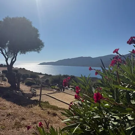 Lejlighed 4 Personnes - Solea 229 - Vue Serra-di-Ferro (Corsica)